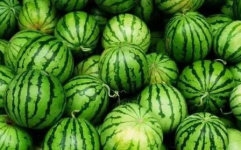 今日大瓜,揭秘娱乐圈最新热点事件