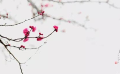 关于梅花的古诗,寒香傲骨，千古传颂的诗词意象