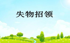 失物招领ppt,高效便捷的解决方案