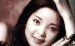 娱乐吃瓜君邓丽君小说,邓丽君与娱乐圈的奇幻旅程