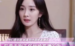 吃瓜娱乐杨幂视频下载免费观看,免费观看吃瓜娱乐视频大揭秘